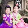 zhanglin_1113